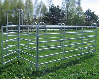 Galvanized Steel Pipes Galvanized Steel Pipes