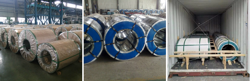 Galvanized Rolled Coil Galvanized Rolled Coil