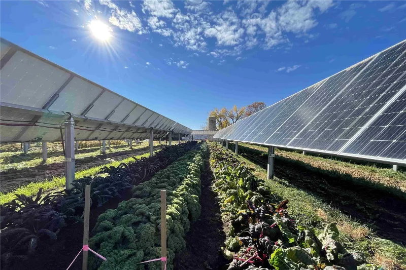 Agricultural Solar Projects Agricultural Solar Projects