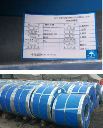 Export Case Studies Export Case Studies